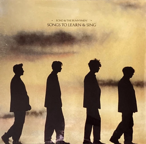 Виниловая пластинка ECHO AND THE BUNNYMEN SONGS TO LEARN & SING