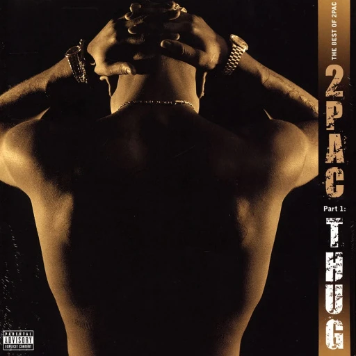 Виниловая пластинка 2PAC THE BEST OF 2PAC: THUG