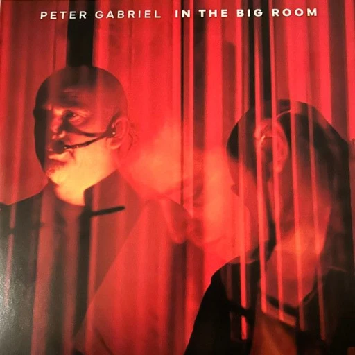 Виниловая пластинка PETER GABRIEL IN THE BIG ROOM