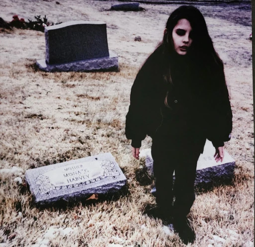 Виниловая пластинка CRYSTAL CASTLES II