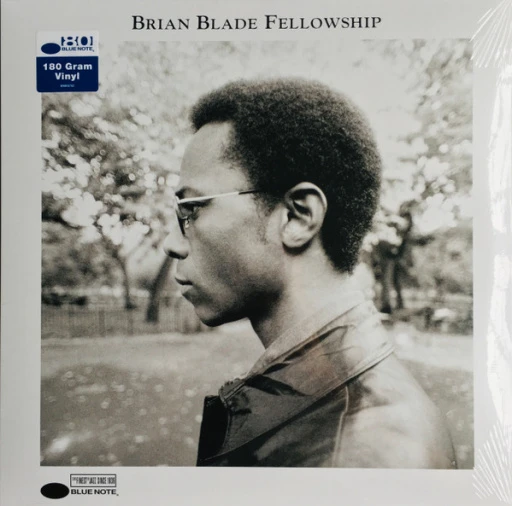 Виниловая пластинка BRIAN BLADE BRIAN BLADE FELLOWSHIP