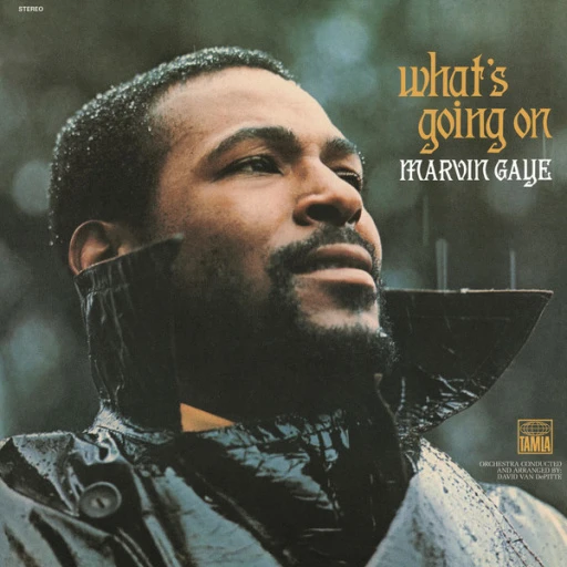 Виниловая пластинка MARVIN GAYE WHAT'S GOING ON