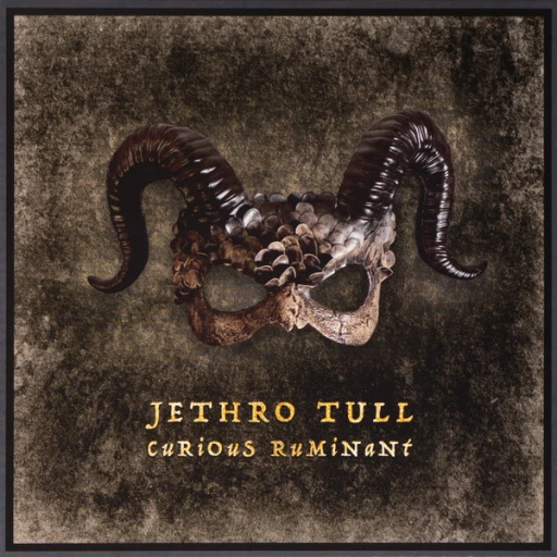 Виниловая пластинка JETHRO TULL Curious Ruminant