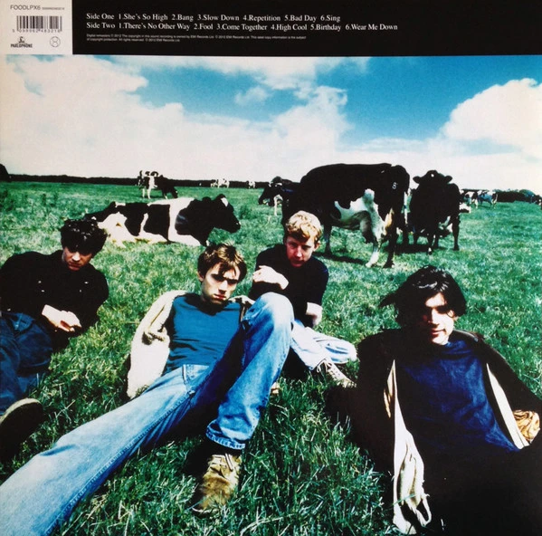Виниловая пластинка BLUR LEISURE