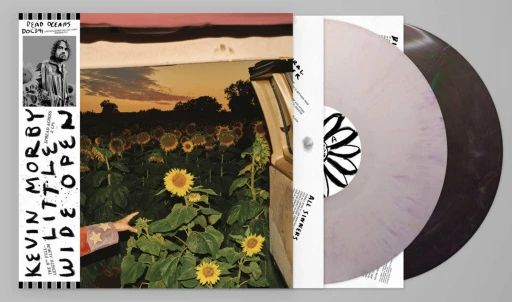 Виниловая пластинка KEVIN MORBY LITTLE WIDE OPEN