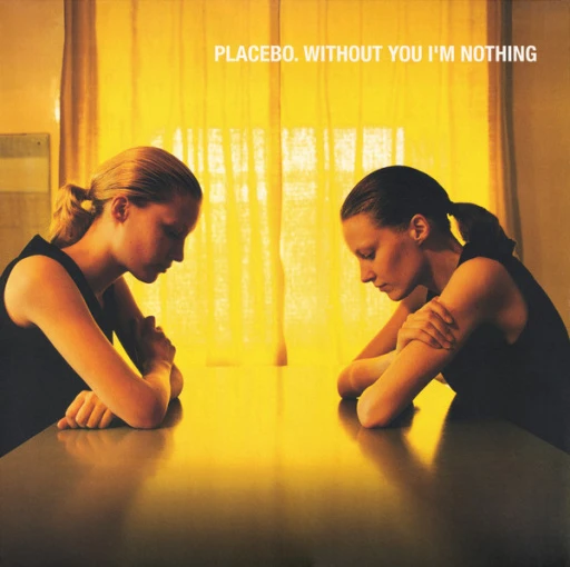 Виниловая пластинка PLACEBO Without You I'm Nothing