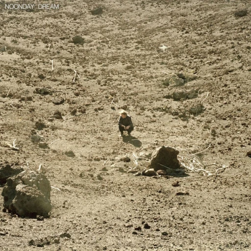 Виниловая пластинка BEN HOWARD NOONDAY DREAM