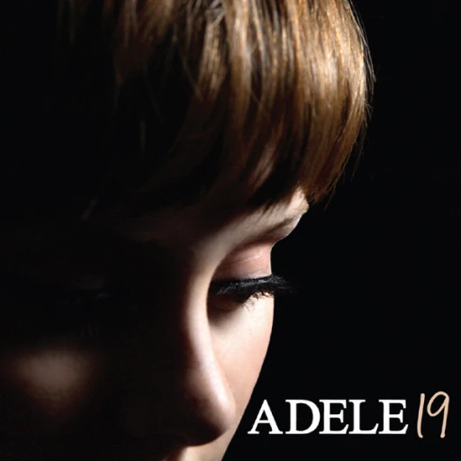 Виниловая пластинка ADELE 19