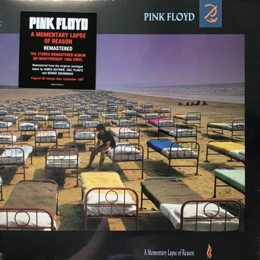 Виниловая пластинка PINK FLOYD A Momentary Lapse of Reason