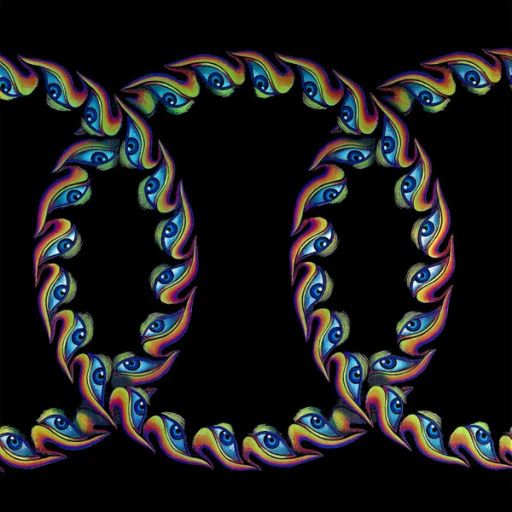 Виниловая пластинка TOOL LATERALUS