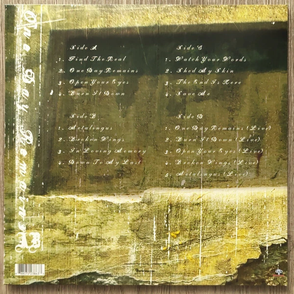 Виниловая пластинка ALTER BRIDGE ONE DAY REMAINS