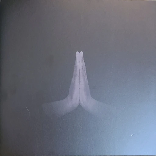 Виниловая пластинка SAULT UNTITLED (RISE)