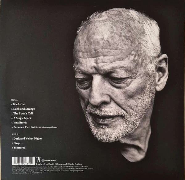 Виниловая пластинка DAVID GILMOUR Luck and Strange