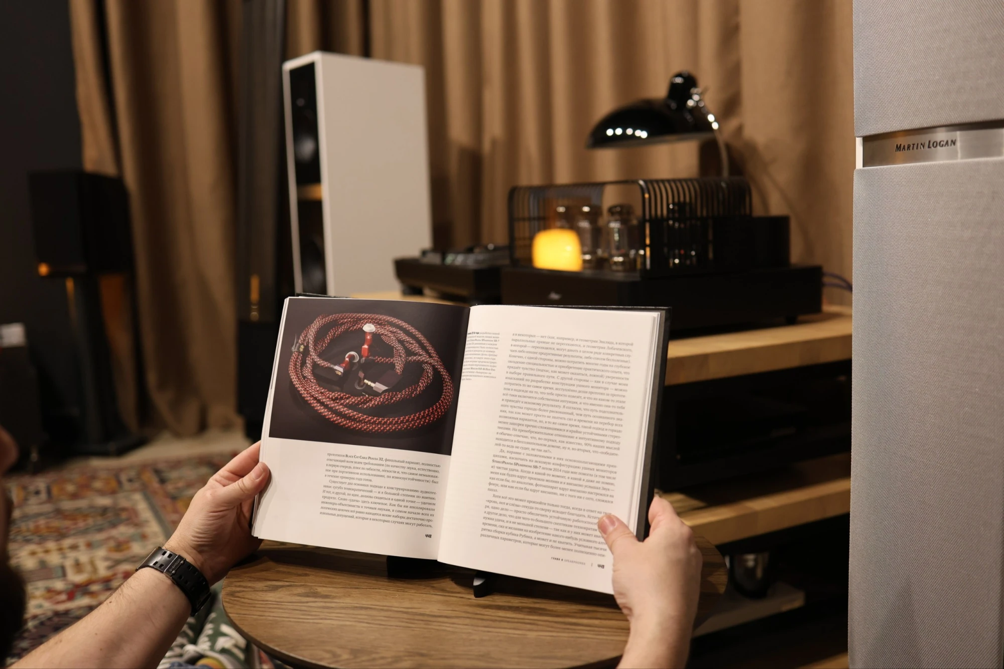 Книга «СтереоПравда 2.0» — Неполиткорректная история High End Audio | Миша Кучеренко