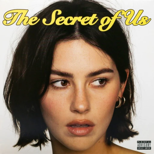 Виниловая пластинка ABRAMS, GRACIE THE SECRET OF US