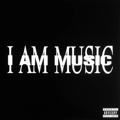Виниловая пластинка PLAYBOI CARTI MUSIC