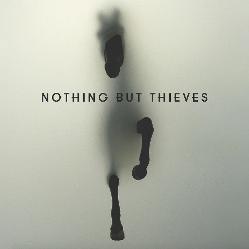 Виниловая пластинка NOTHING BUT THIEVES Nothing But Thieves