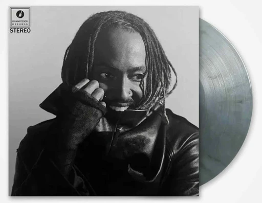 Виниловая пластинка THUNDERCAT DISTRACTED