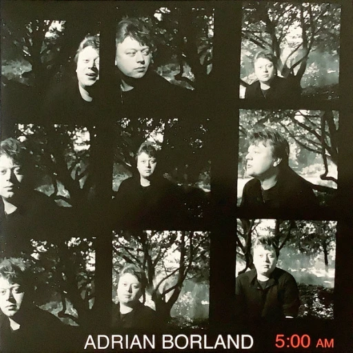 Виниловая пластинка ADRIAN BORLAND 5:00 AM
