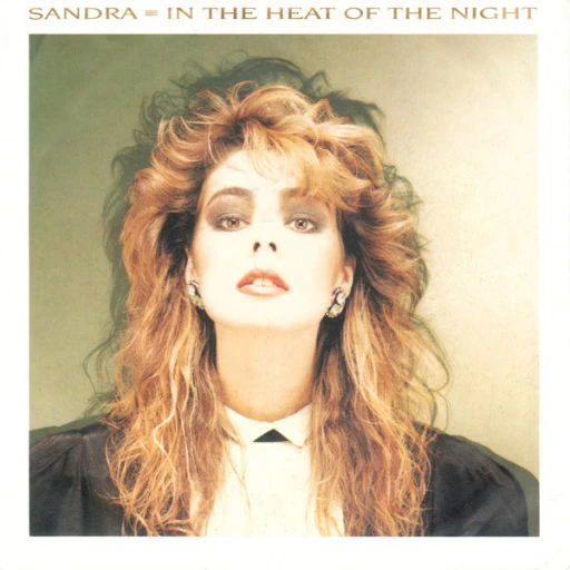 Виниловая пластинка SANDRA IN THE HEAT OF THE NIGHT (VG/VG 7``)