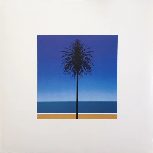 Виниловая пластинка METRONOMY ENGLISH RIVIERA