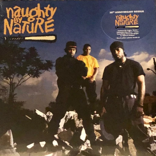 Виниловая пластинка NAUGHTY BY NATURE NAUGHTY BY NATURE