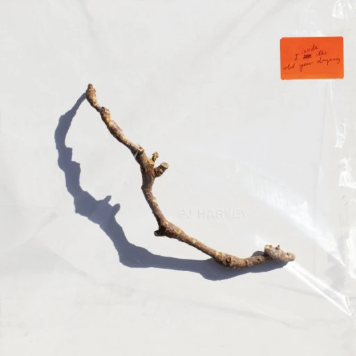 Виниловая пластинка PJ HARVEY I INSIDE THE OLD YEAR DYING