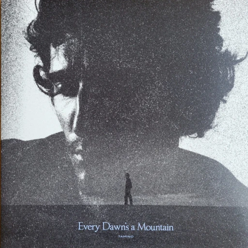 Виниловая пластинка TAMINO EVERY DAWNS A MOUNTAIN