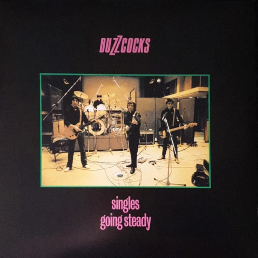 Виниловая пластинка BUZZCOCKS SINGLES GOING STEADY