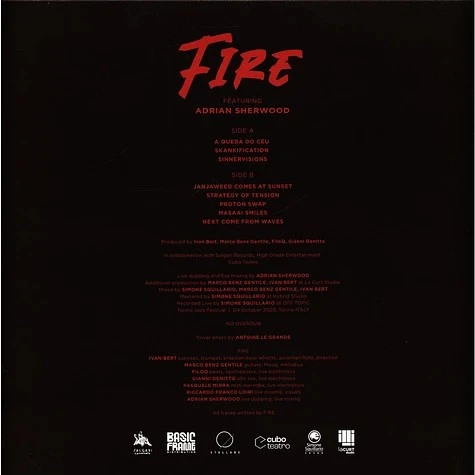 Виниловая пластинка FIRE FEAT ADRIAN SHERWOOD FIRE