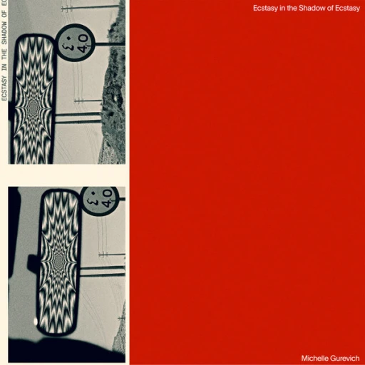 Виниловая пластинка MICHELLE GUREVICH ECSTASY IN THE SHADOW OF ESCTASY