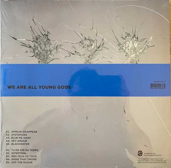 Виниловая пластинка THE YOUNG GODS APPEAR DISAPPEAR