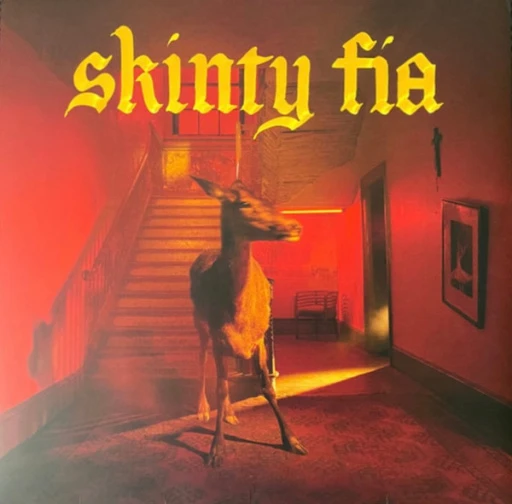 Виниловая пластинка FONTAINES D.C. SKINTY FIA