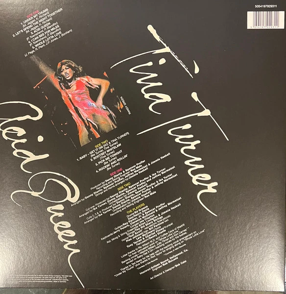 Виниловая пластинка TINA TURNER ACID QUEEN