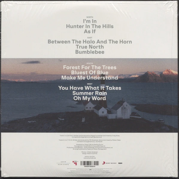 Виниловая пластинка A-HA True North