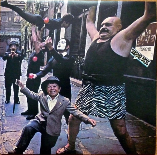 Виниловая пластинка DOORS, THE STRANGE DAYS