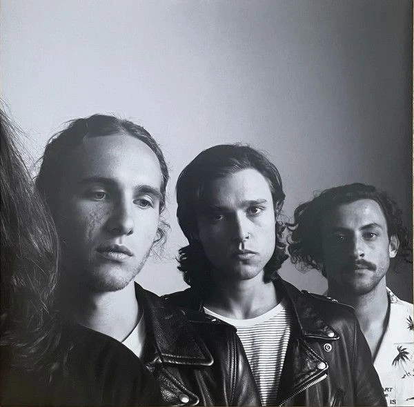 Виниловая пластинка THE NEIGHBOURHOOD WIPED OUT! 10TH ANNIVERSARY