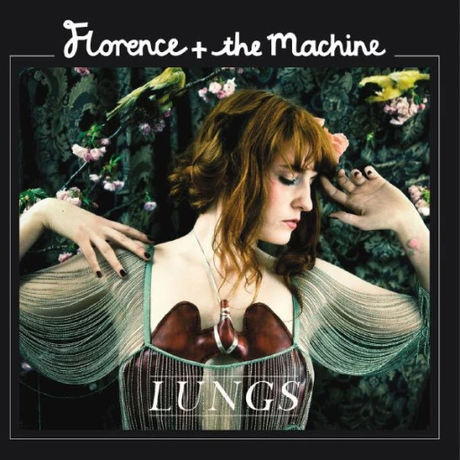 Виниловая пластинка FLORENCE + THE MACHINE LUNGS