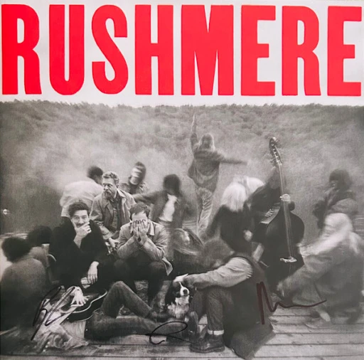 Виниловая пластинка MUMFORD & SONS RUSHMERE
