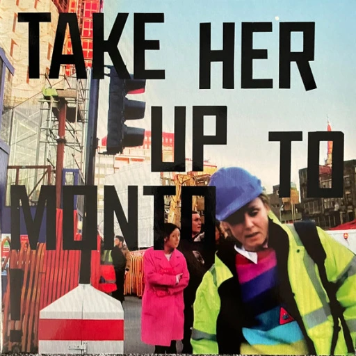 Виниловая пластинка ROISIN MURPHY TAKE HER UP TO MONTO