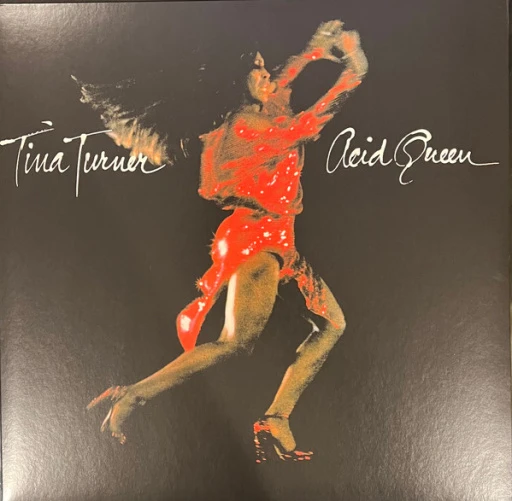 Виниловая пластинка TINA TURNER ACID QUEEN