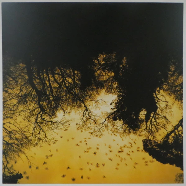 Виниловая пластинка DAVID HOLMES LATE NIGHT TALES