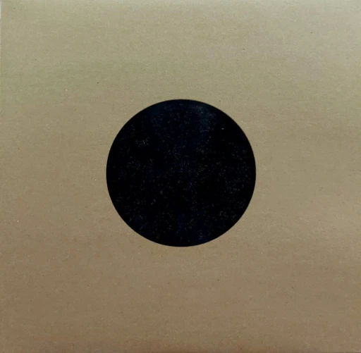 Виниловая пластинка SWANS BIRTHING