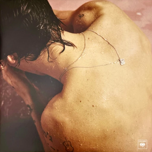 Виниловая пластинка HARRY STYLES HARRY STYLES