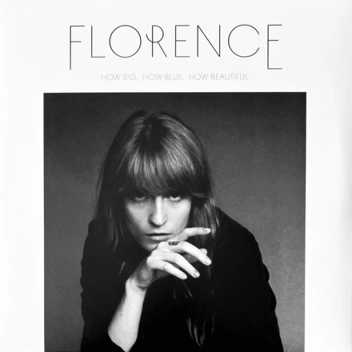 Виниловая пластинка FLORENCE HOW BIG HOW BLUE HOW BEAUTIFUL