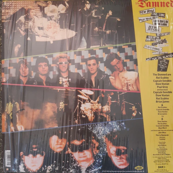 Виниловая пластинка DAMNED ANOTHER GREAT RECORD FROM THE DAMNED: THE BEST OF THE DAMNED