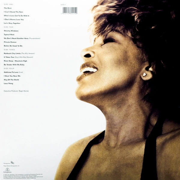 Виниловая пластинка TINA TURNER SIMPLY THE BEST