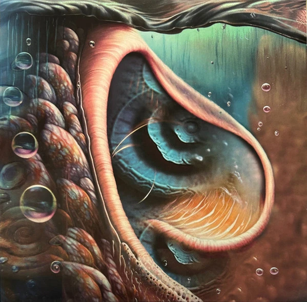 Виниловая пластинка VARIOUS MEDDLE REIMAGINED - A TRIBUTE TO PINK FLOYD
