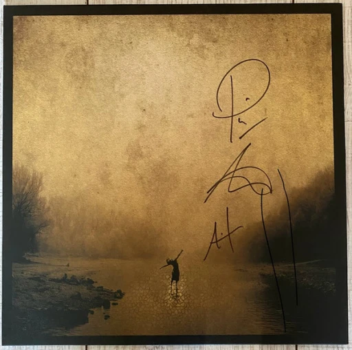Виниловая пластинка BOXER REBELLION UNION
