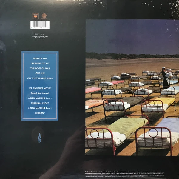 Виниловая пластинка PINK FLOYD A Momentary Lapse of Reason